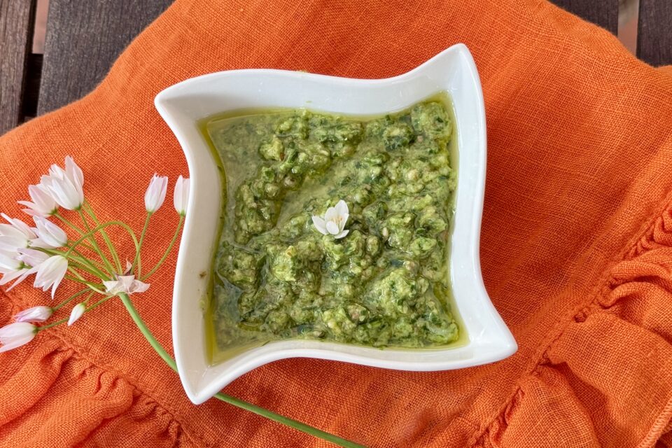 Pesto di aglio selvatico rosato